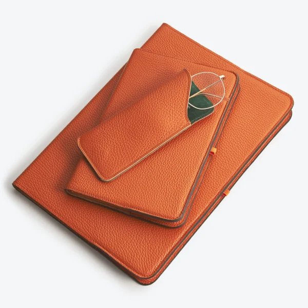 Luxury Leather Glasses Case